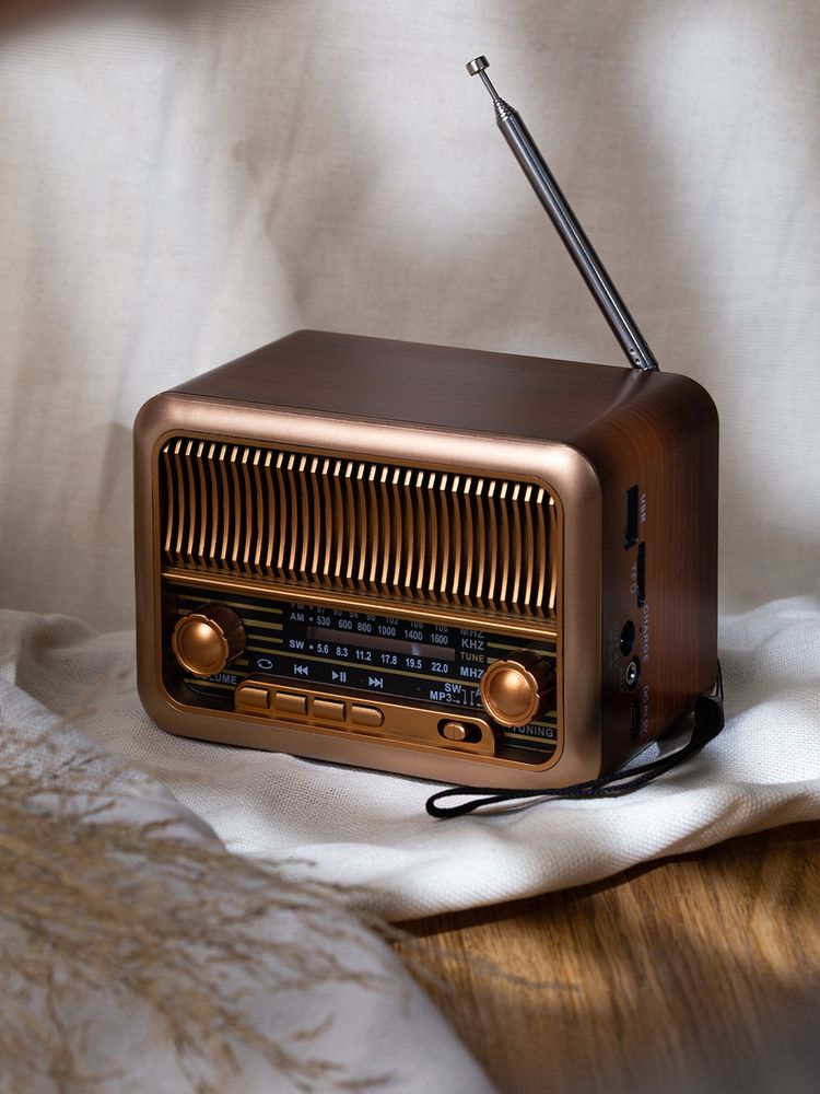 Bluetooth-колонка с радио Beatnik, коричневая / Миниатюра имиджевого (1000)