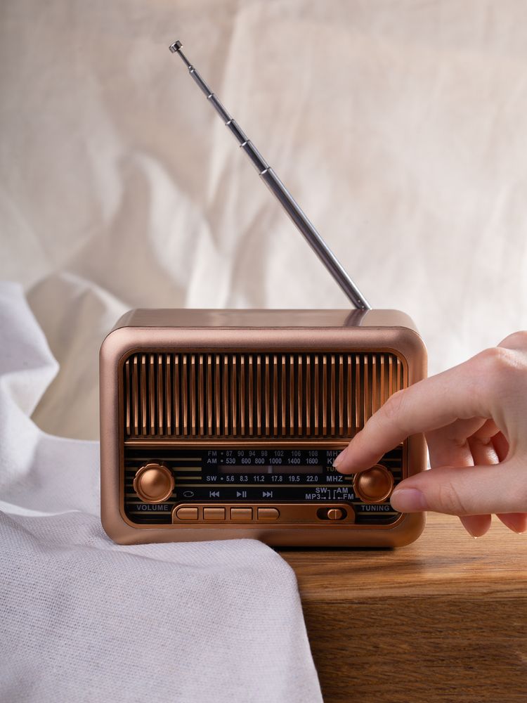 Bluetooth-колонка с радио Beatnik, коричневая / Миниатюра имиджевого (1000)