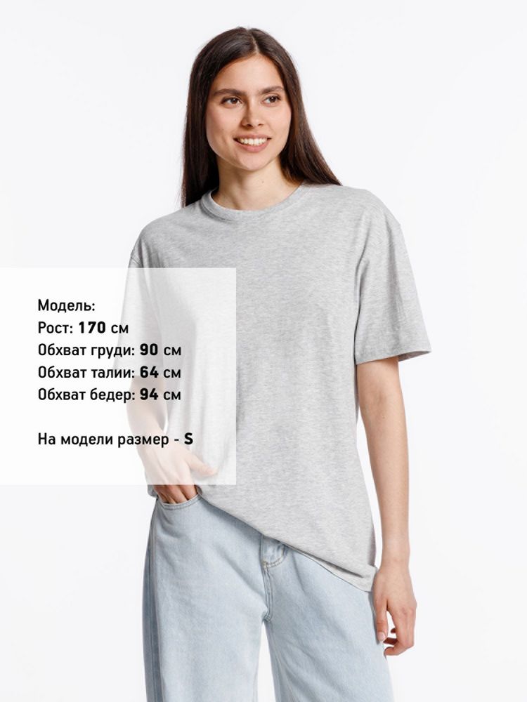 Футболка унисекс Streetwise, серый меланж / Миниатюра модельного (1000)