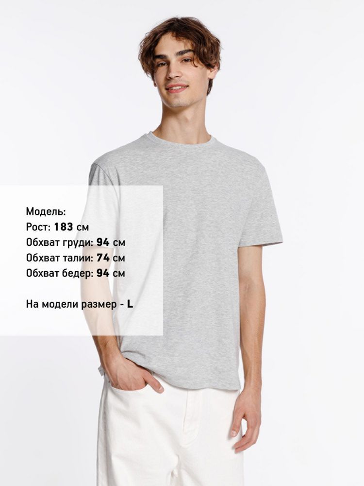 Футболка унисекс Streetwise, серый меланж / Миниатюра модельного (1000)
