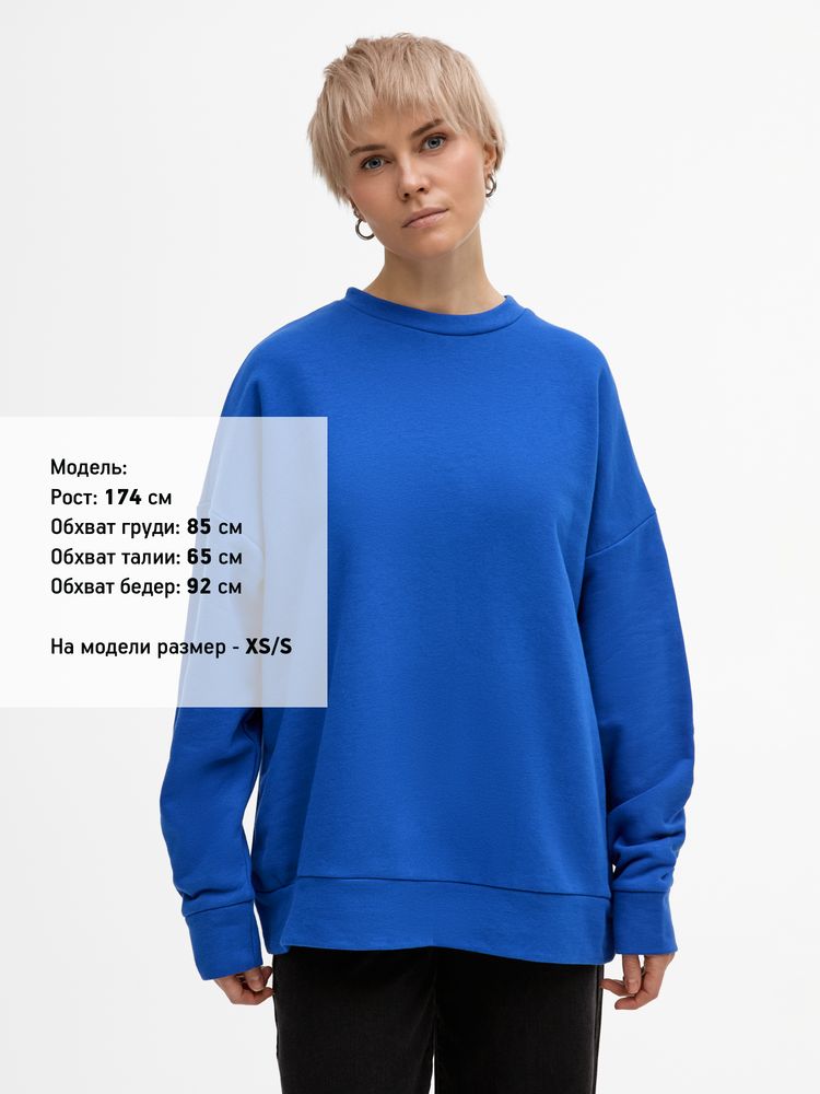 Свитшот унисекс S2, синий / Миниатюра модельного (1000)