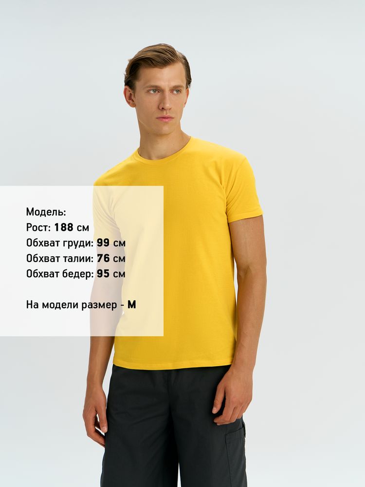 Футболка унисекс Regent 150, желтая / Миниатюра модельного (1000)