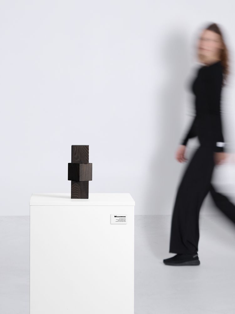 Стела Woodwise / Миниатюра имиджевого (1000)