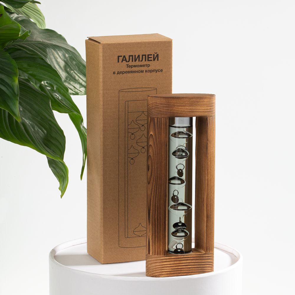 Термометр «Галилей» в деревянном корпусе, серый / Миниатюра имиджевого (1000)