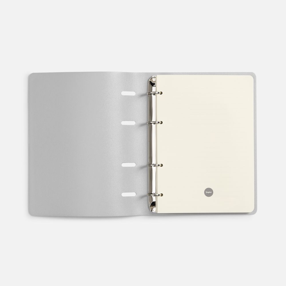 Ежедневник Ringo, недатированный, серебристый / Миниатюра WWW (1000)