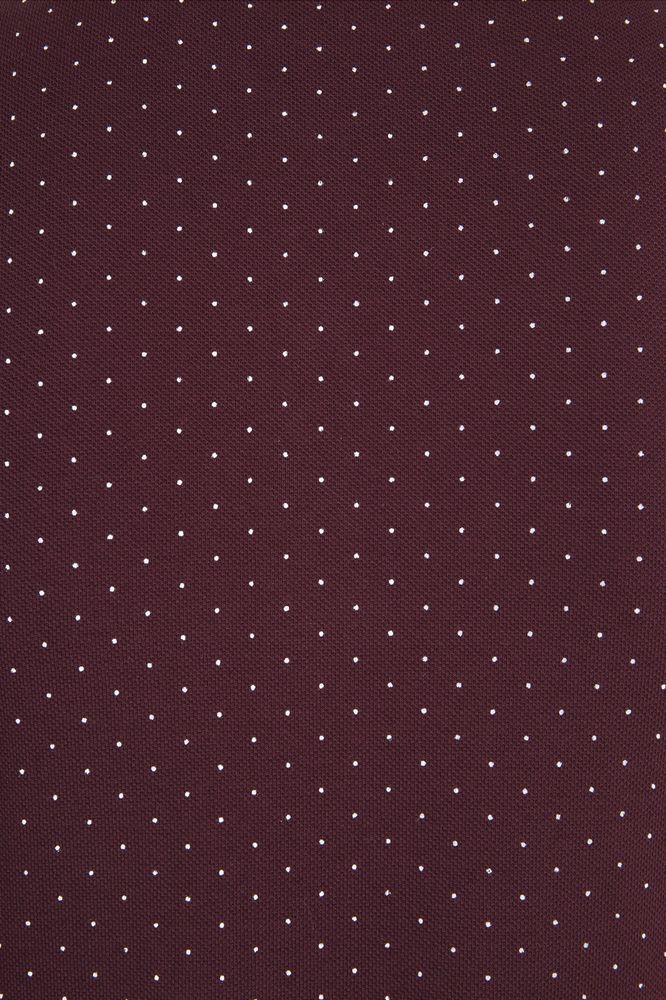 Рубашка поло женская Brandy Women, темно-синяя с белым / Миниатюра WWW (1000)