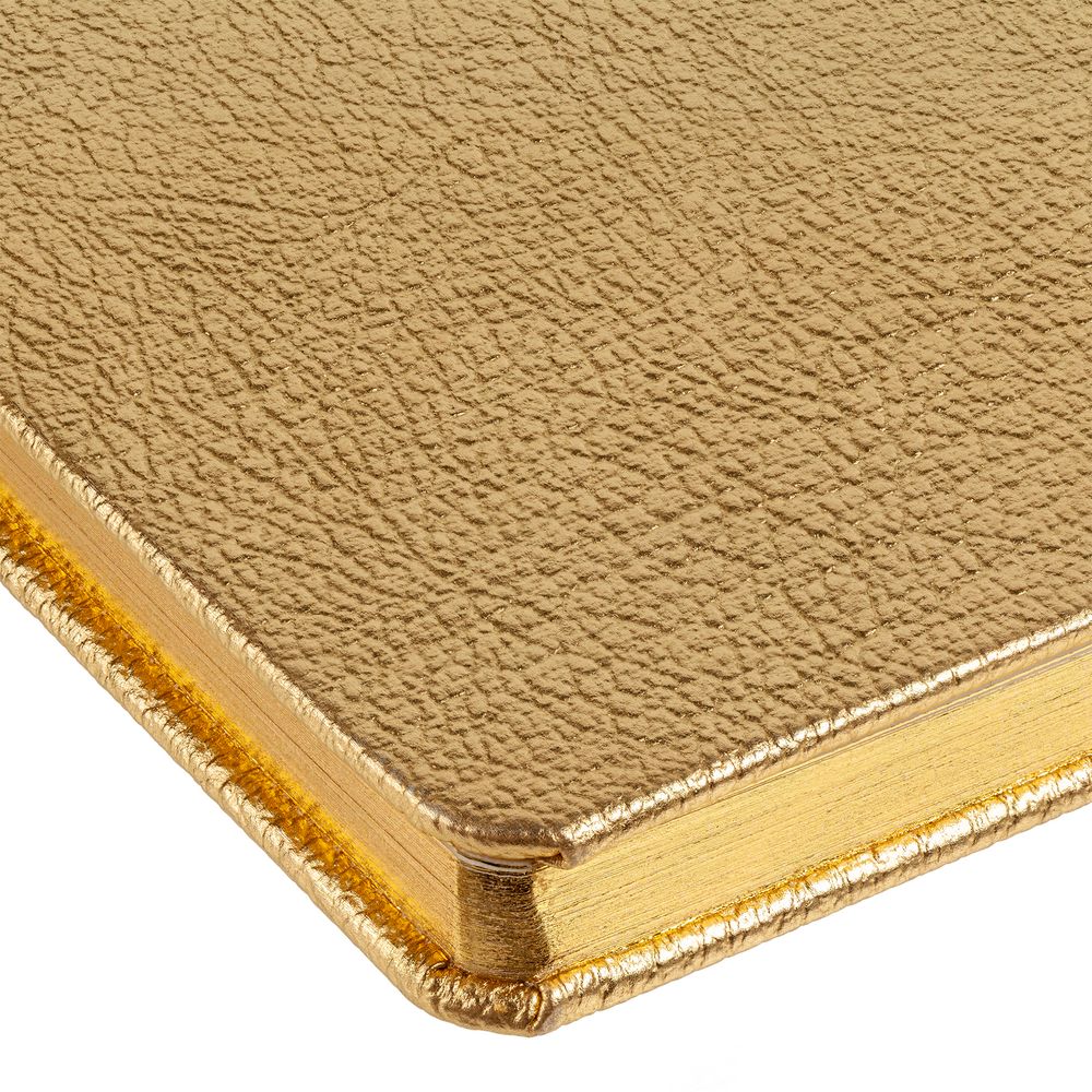 Блокнот NosoRock, золотистый / Миниатюра WWW (1000)