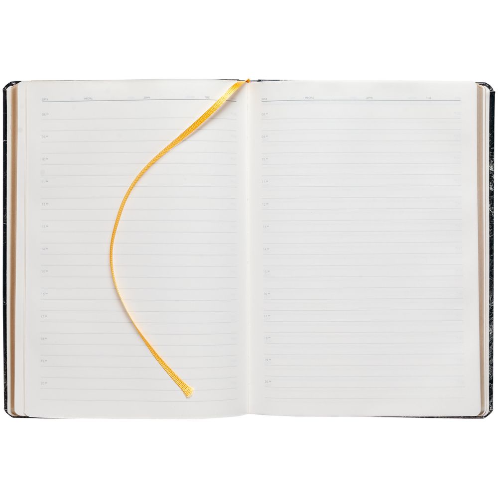 Ежедневник «Золотая Жила» / Миниатюра WWW (1000)