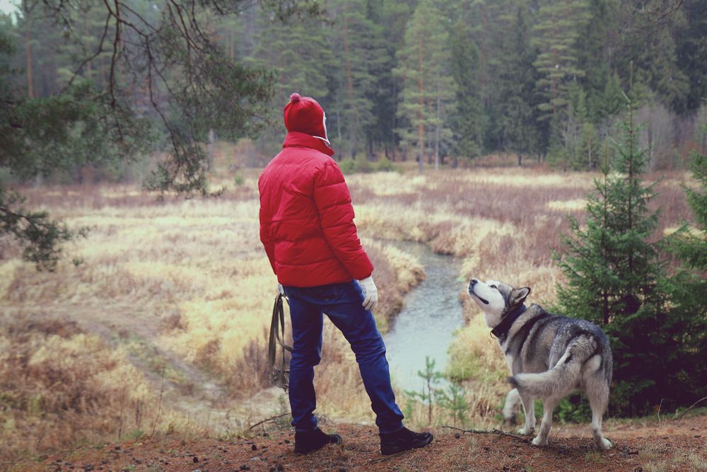 Куртка Unit Hatanga, ярко-синяя / Миниатюра WWW (1000)