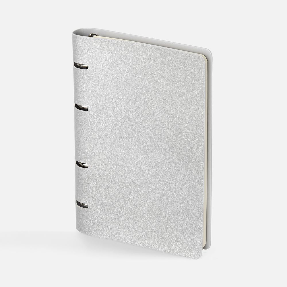 Ежедневник Ringo, недатированный, серебристый / Миниатюра WWW (1000)