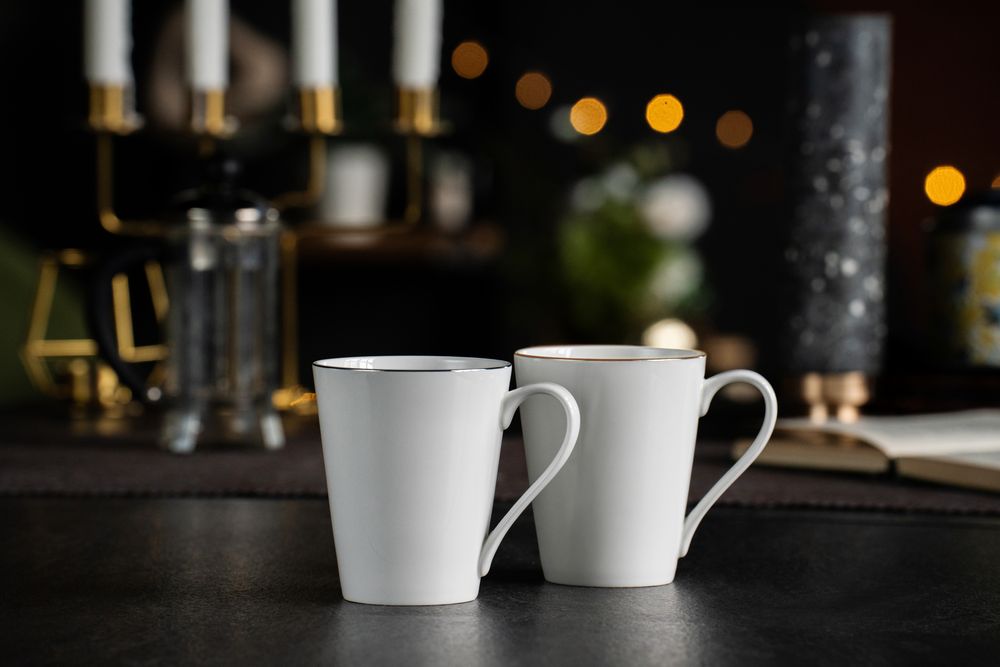 Кружка Mansion Select, белая с серебристой отводкой / Миниатюра WWW (1000)