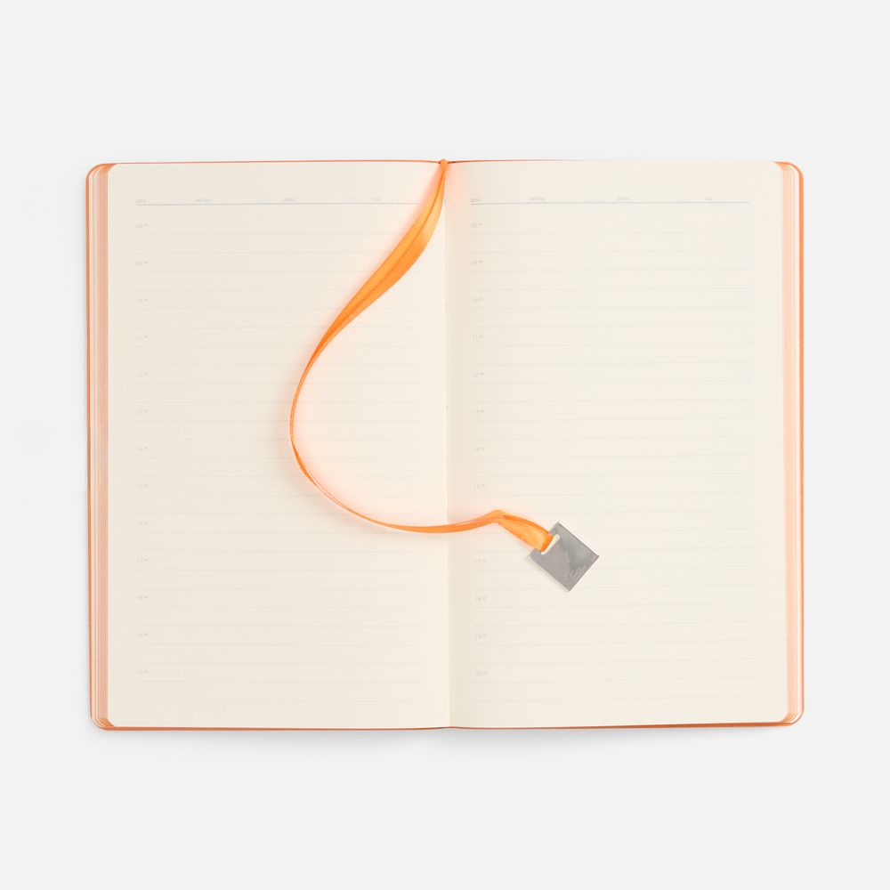 Ежедневник Shall Light, недатированный, оранжевый / Миниатюра WWW (1000)