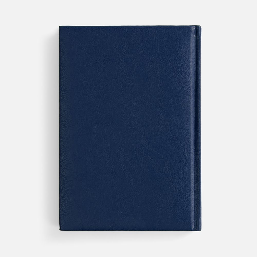 Ежедневник Baza, датированный, синий / Миниатюра WWW (1000)