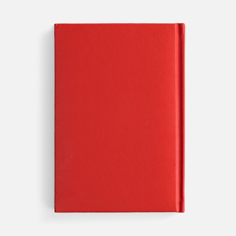 Ежедневник Baza, датированный, красный / Миниатюра WWW (1000)