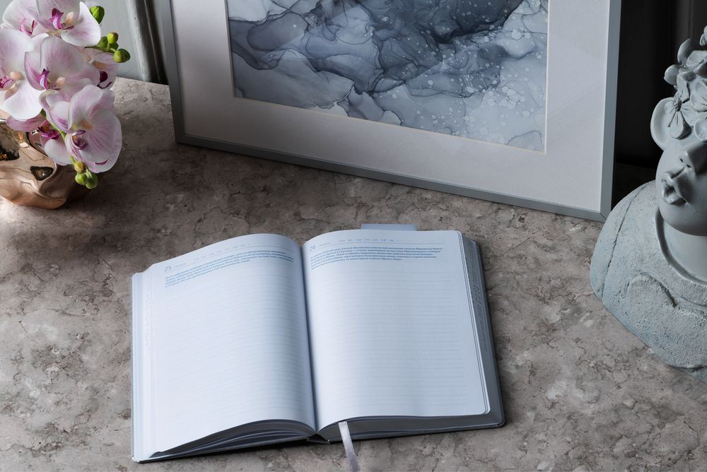 Ежедневник «Исторический», полудатированный, серебро / Миниатюра WWW (1000)