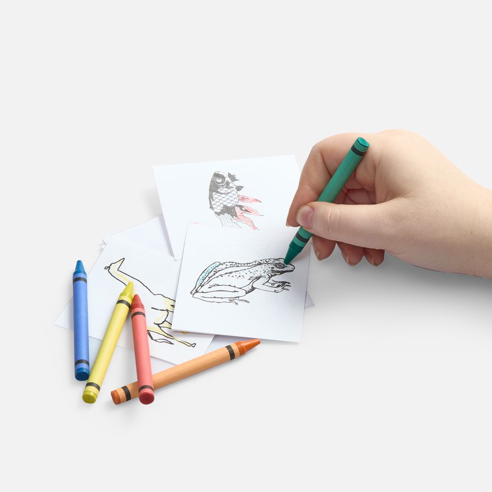 Набор для раскрашивания Create, белый / Миниатюра WWW (1000)