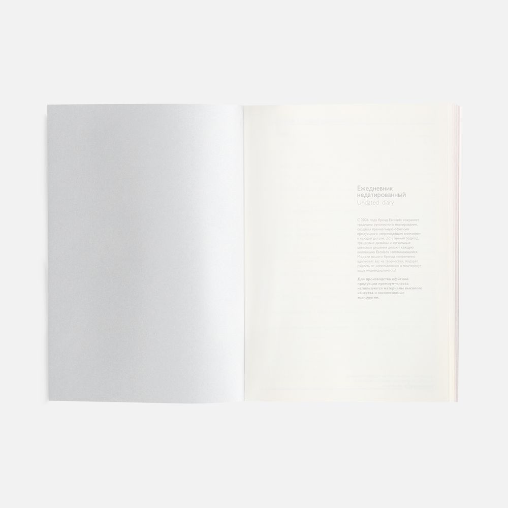 Ежедневник Repute, недатированный, синий / Миниатюра WWW (1000)