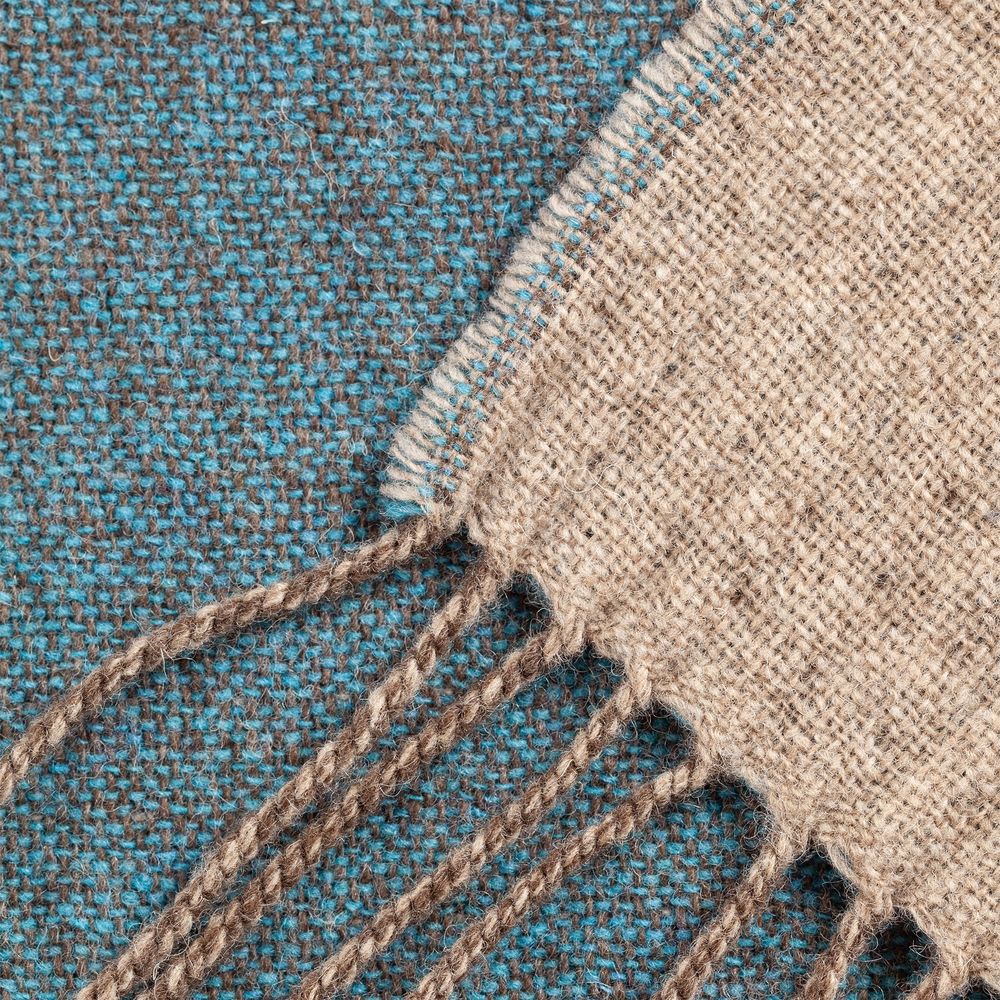 Плед Dioniso, голубой / Миниатюра WWW (1000)