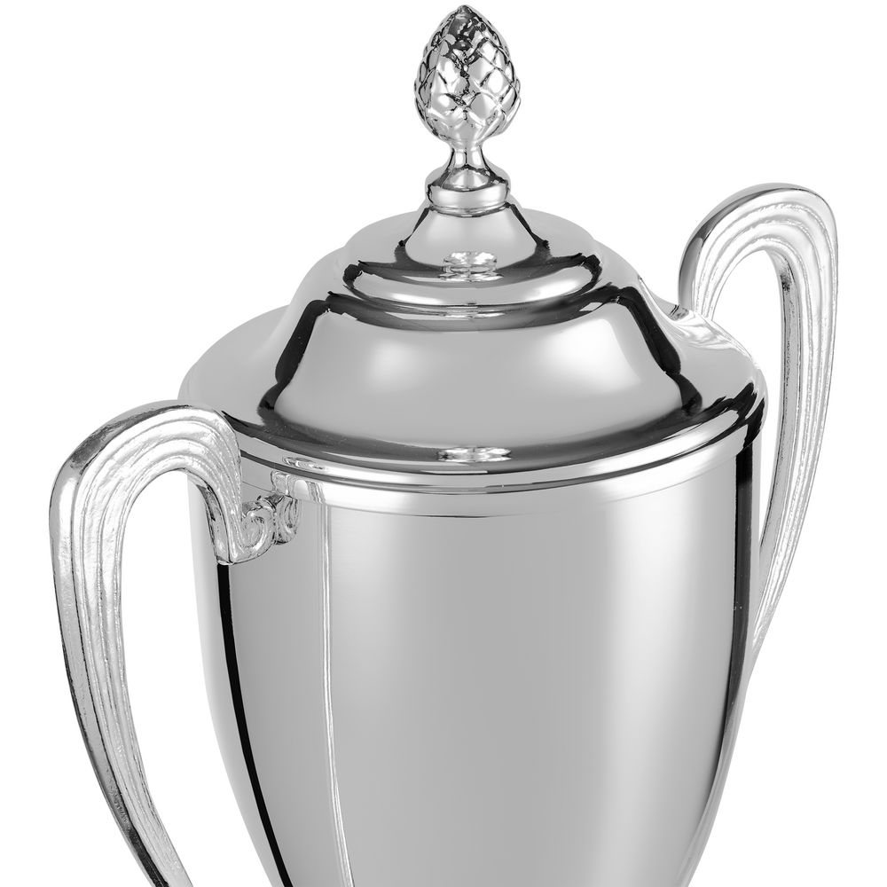 Кубок Grandee, серебристый / Миниатюра WWW (1000)