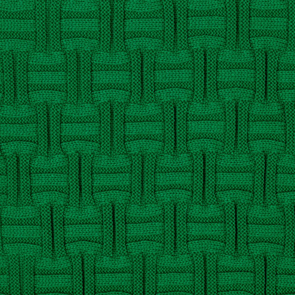 Плед Biscuit, зеленый / Миниатюра WWW (1000)