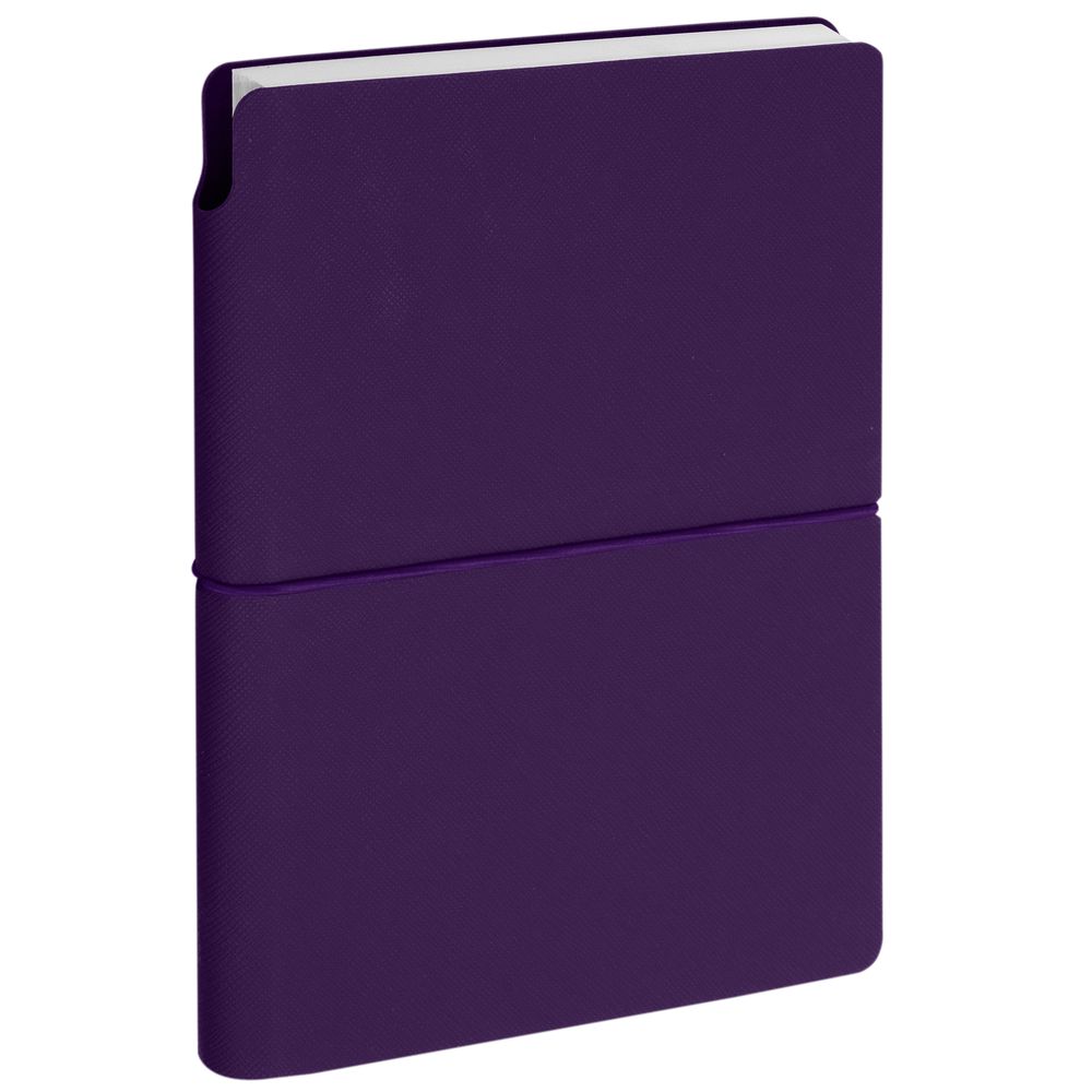 Ежедневник Flexpen Bright, недатированный, фиолетовый / Миниатюра WWW (1000)