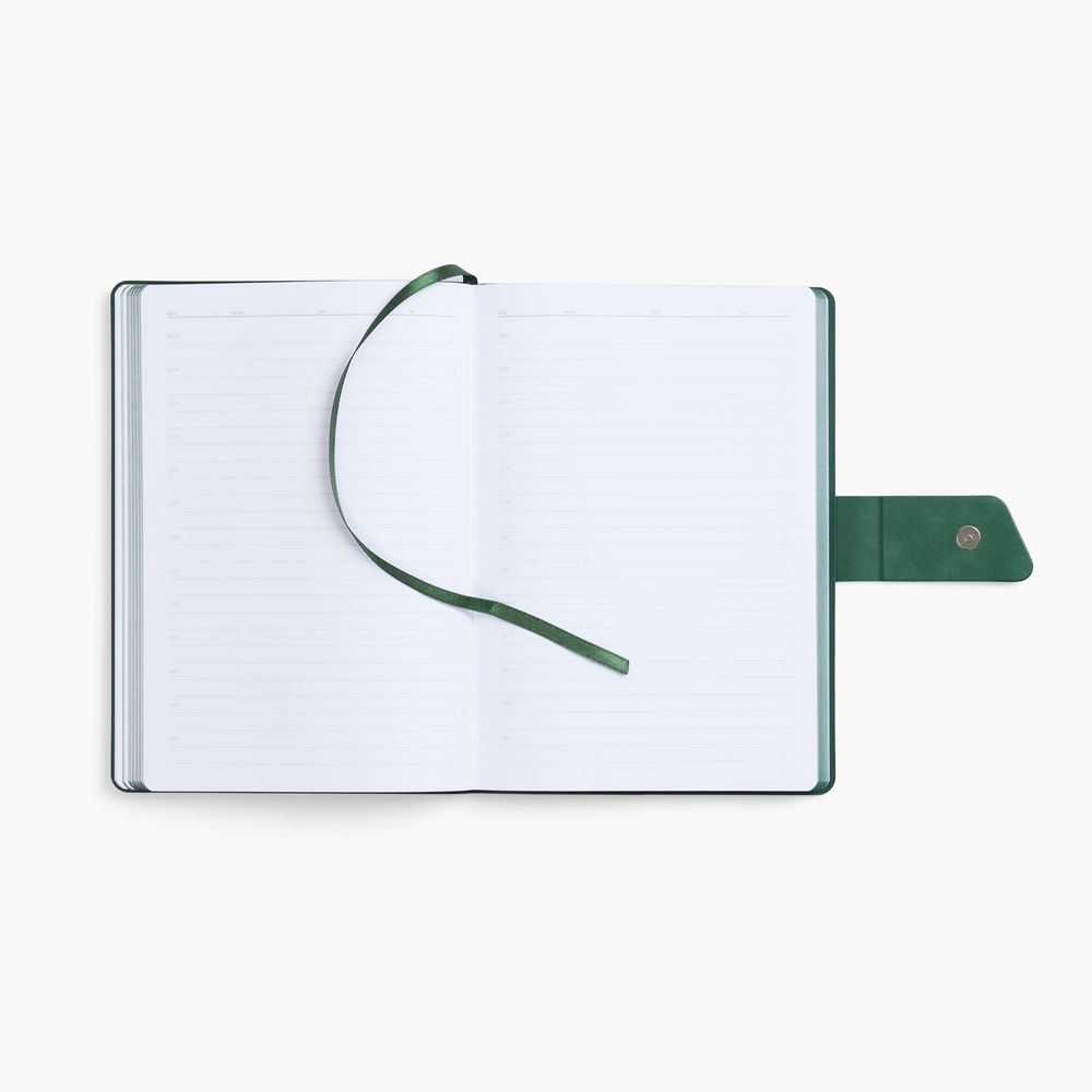 Ежедневник Boom, недатированный, черный с зеленым / Миниатюра WWW (1000)