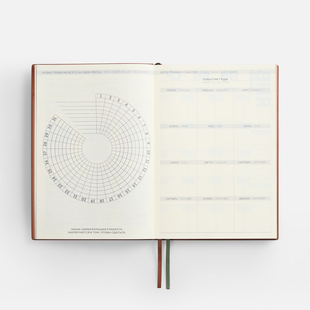 Ежедневник Avila, недатированный, зеленый / Миниатюра WWW (1000)