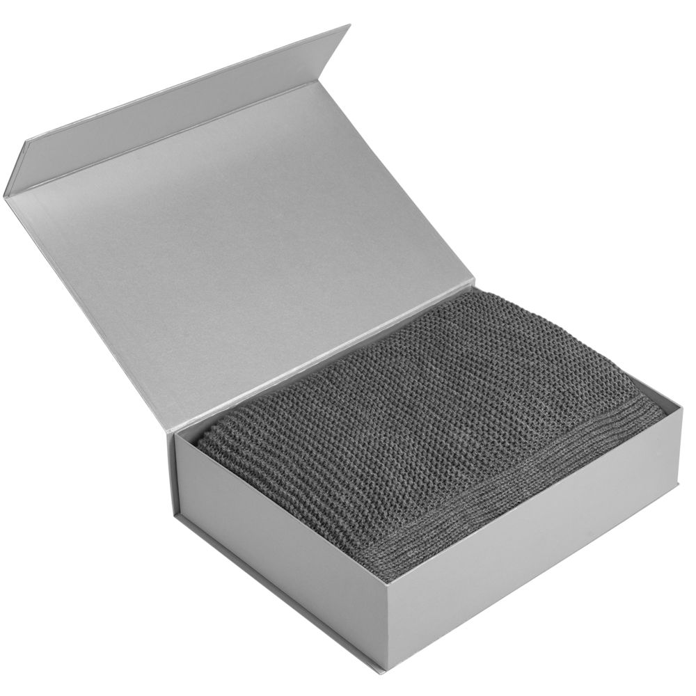 Коробка Koffer, серебристая / Миниатюра WWW (1000)