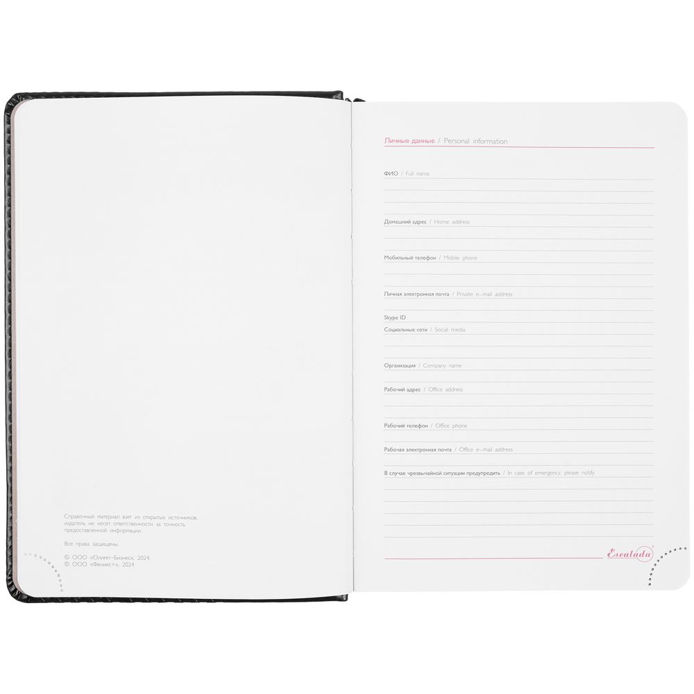 Ежедневник Faro, датированный, черный / Миниатюра WWW (1000)