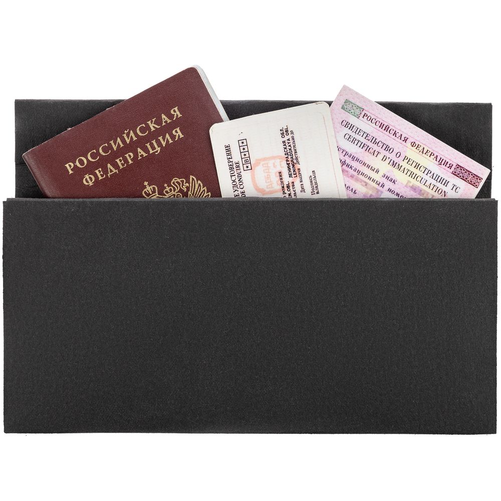 Органайзер для путешествий ticketJacket, черный / Миниатюра WWW (1000)