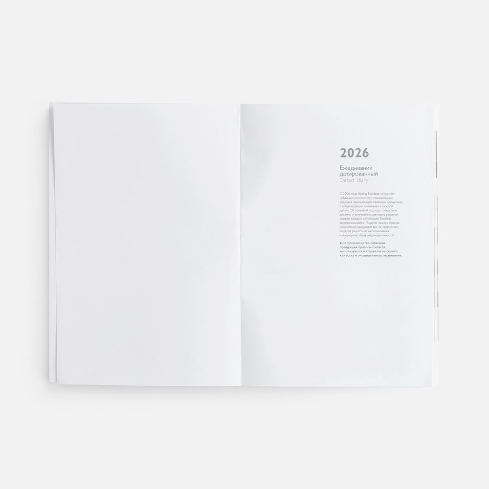 Ежедневник Baza, датированный, синий / Миниатюра WWW (1000)