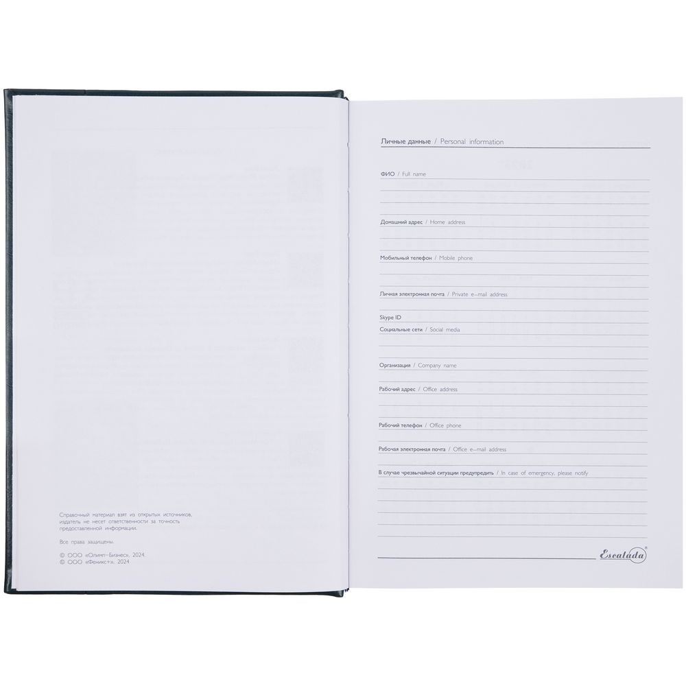 Ежедневник Baza, датированный, зеленый / Миниатюра WWW (1000)