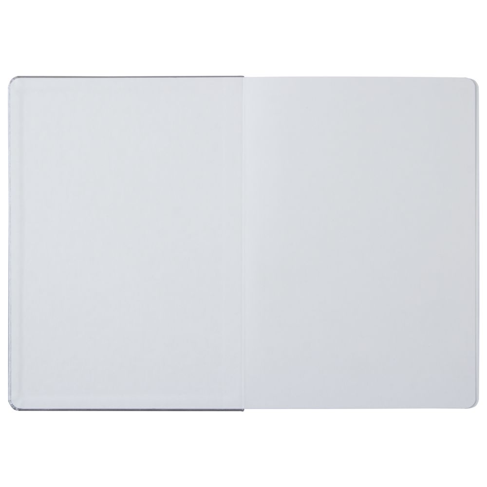 Ежедневник «Исторический», полудатированный, серебро / Миниатюра WWW (1000)