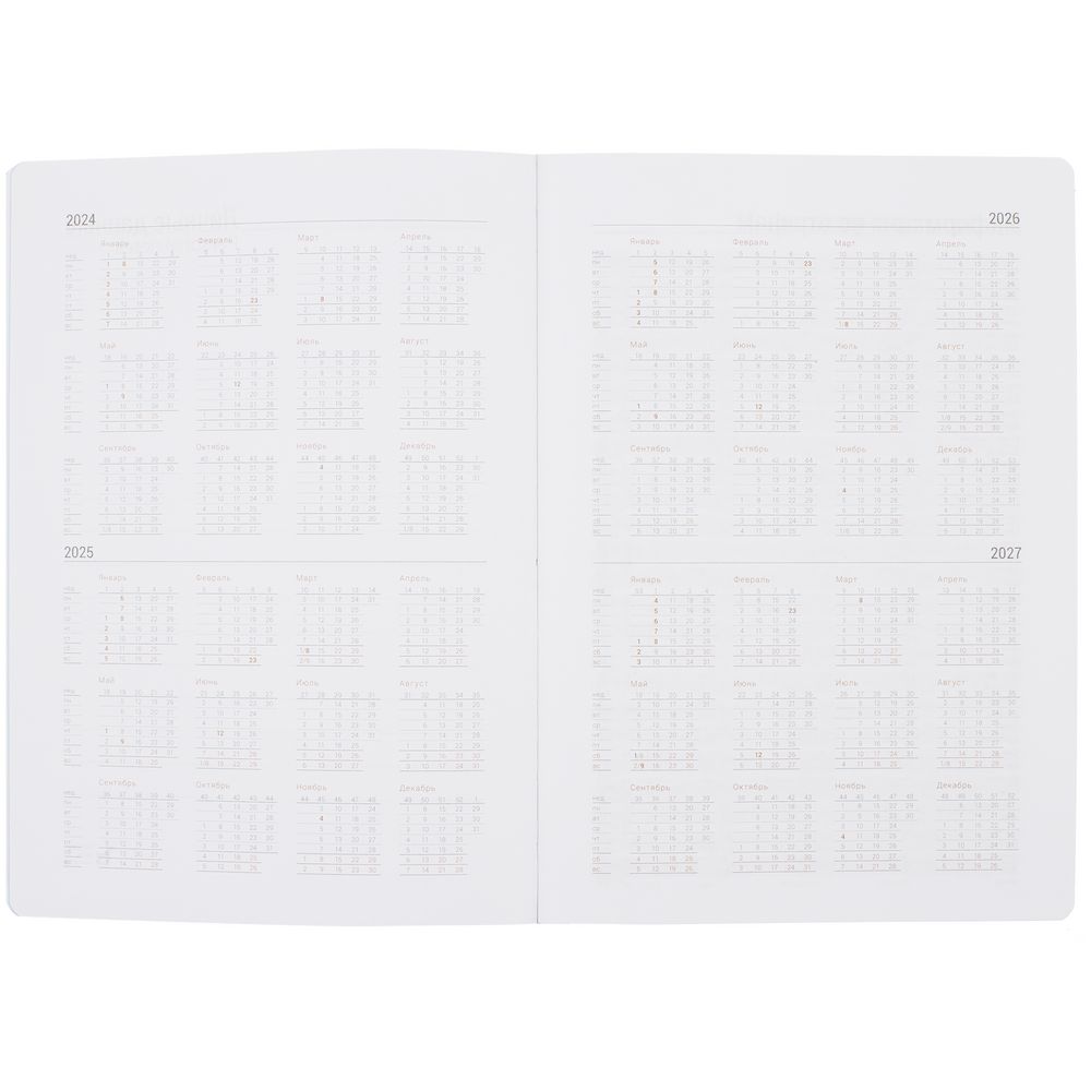 Ежедневник New Factor, недатированный, голубой / Миниатюра WWW (1000)