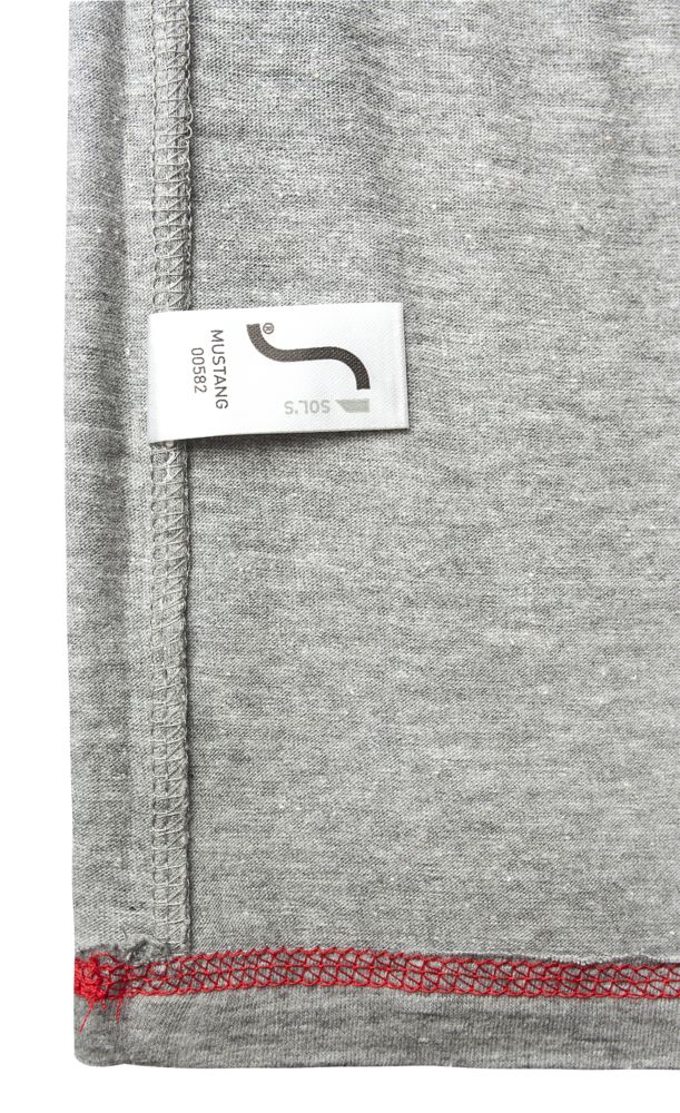 Футболка мужская Regent Fit 150, коричневая (терракотовая) / Миниатюра WWW (1000)