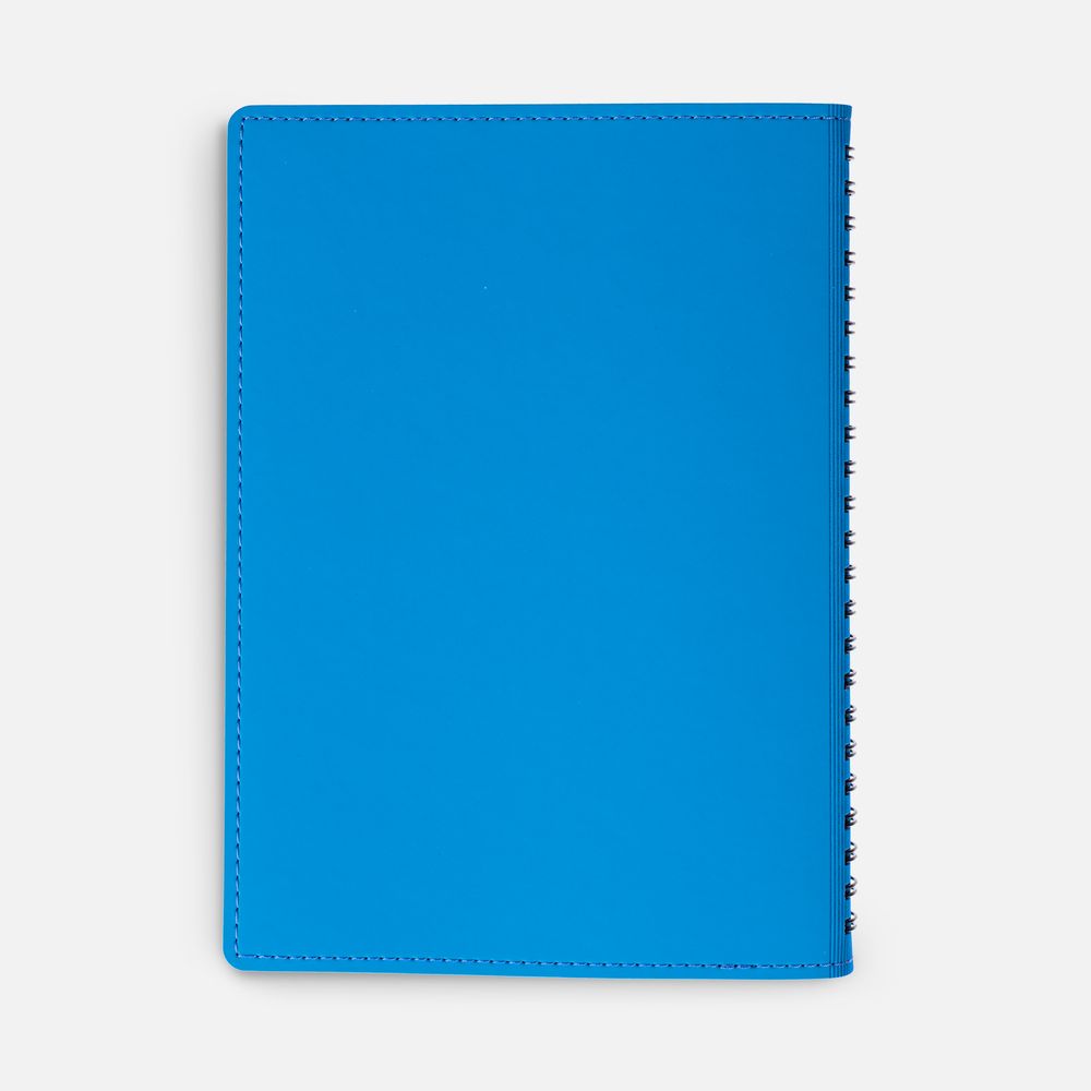 Ежедневник Spring Shall, недатированный, голубой / Миниатюра WWW (1000)