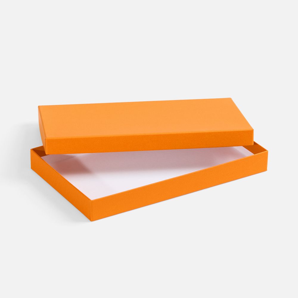 Коробка Horizon, оранжевая / Миниатюра WWW (1000)