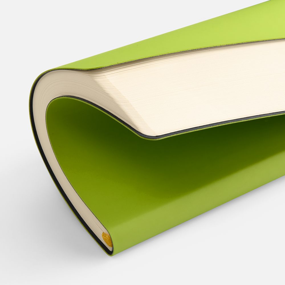 Ежедневник Flex Shall New, недатированный, светло-зеленый / Миниатюра WWW (1000)