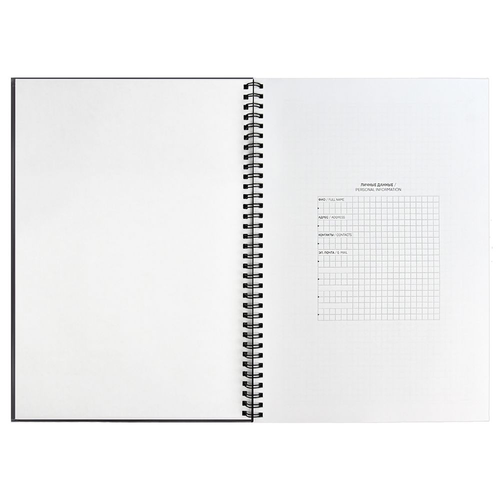 Ежедневник Notera Maxi, недатированный, серый / Миниатюра WWW (1000)