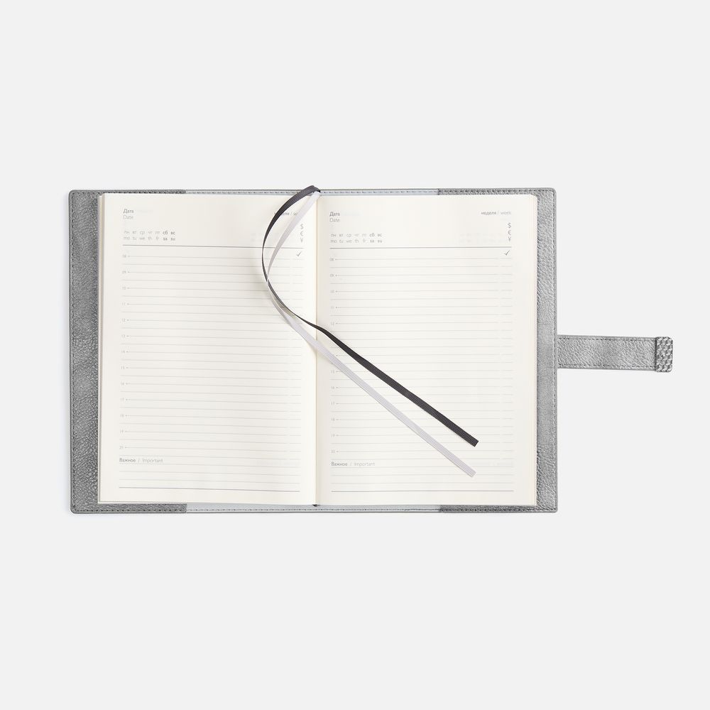 Ежедневник Repute, недатированный, серый / Миниатюра WWW (1000)