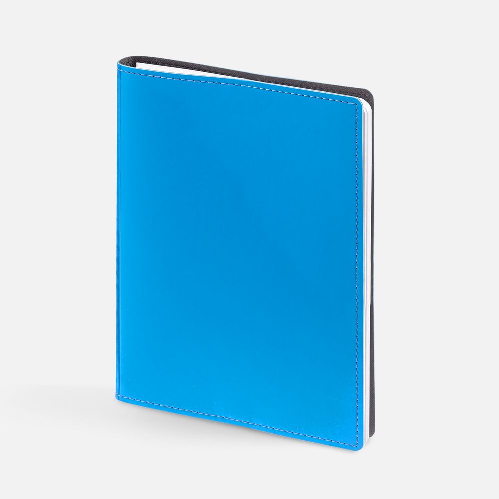 Ежедневник Spring Shall, недатированный, голубой / Миниатюра WWW (1000)