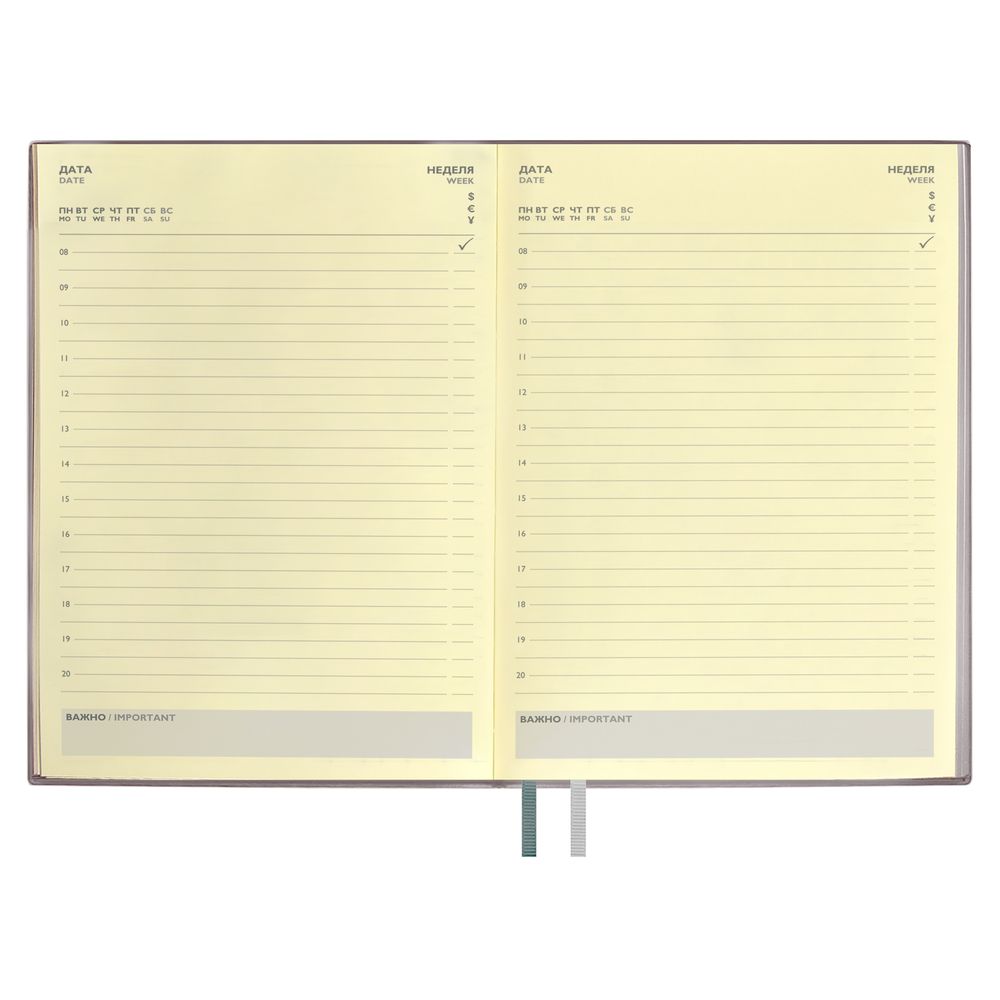 Ежедневник Avila, недатированный, серый / Миниатюра WWW (1000)