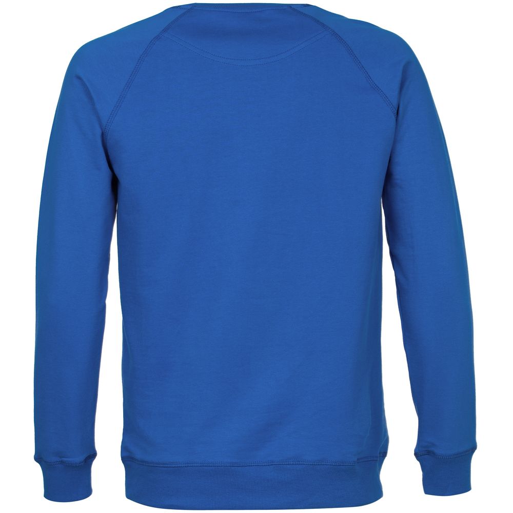 Свитшот мужской Kulonga Raeglan, ярко-синий / Миниатюра WWW (1000)