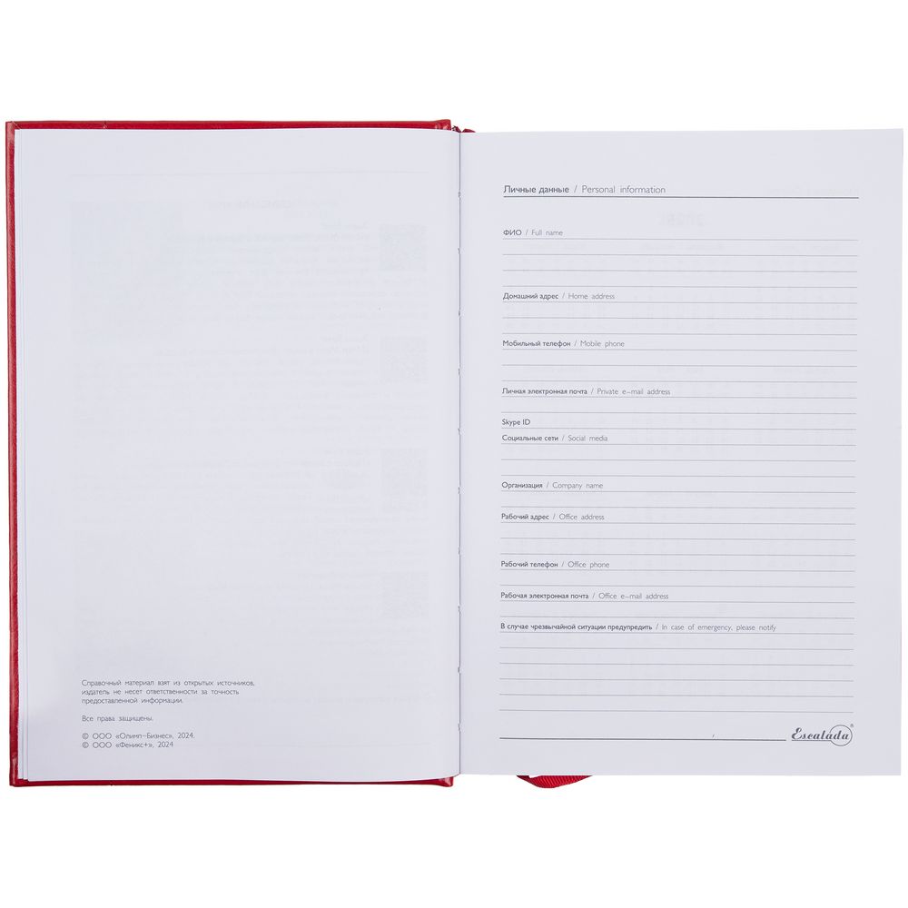 Ежедневник Baza, датированный, красный / Миниатюра WWW (1000)