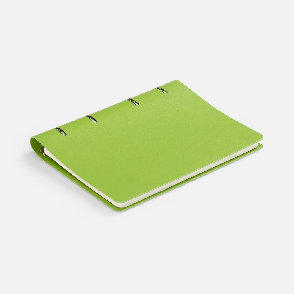 Ежедневник Ringo, недатированный, зеленый / Миниатюра WWW (1000)