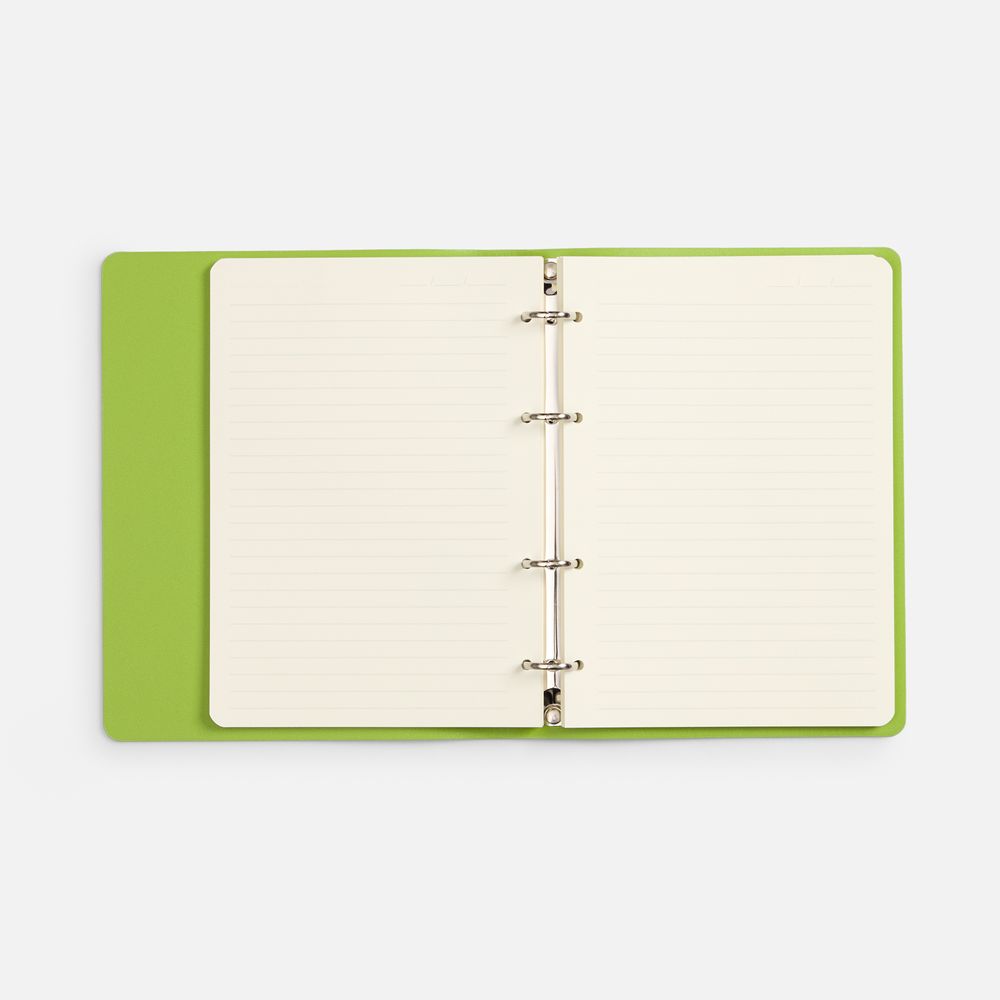 Ежедневник Ringo, недатированный, зеленый / Миниатюра WWW (1000)