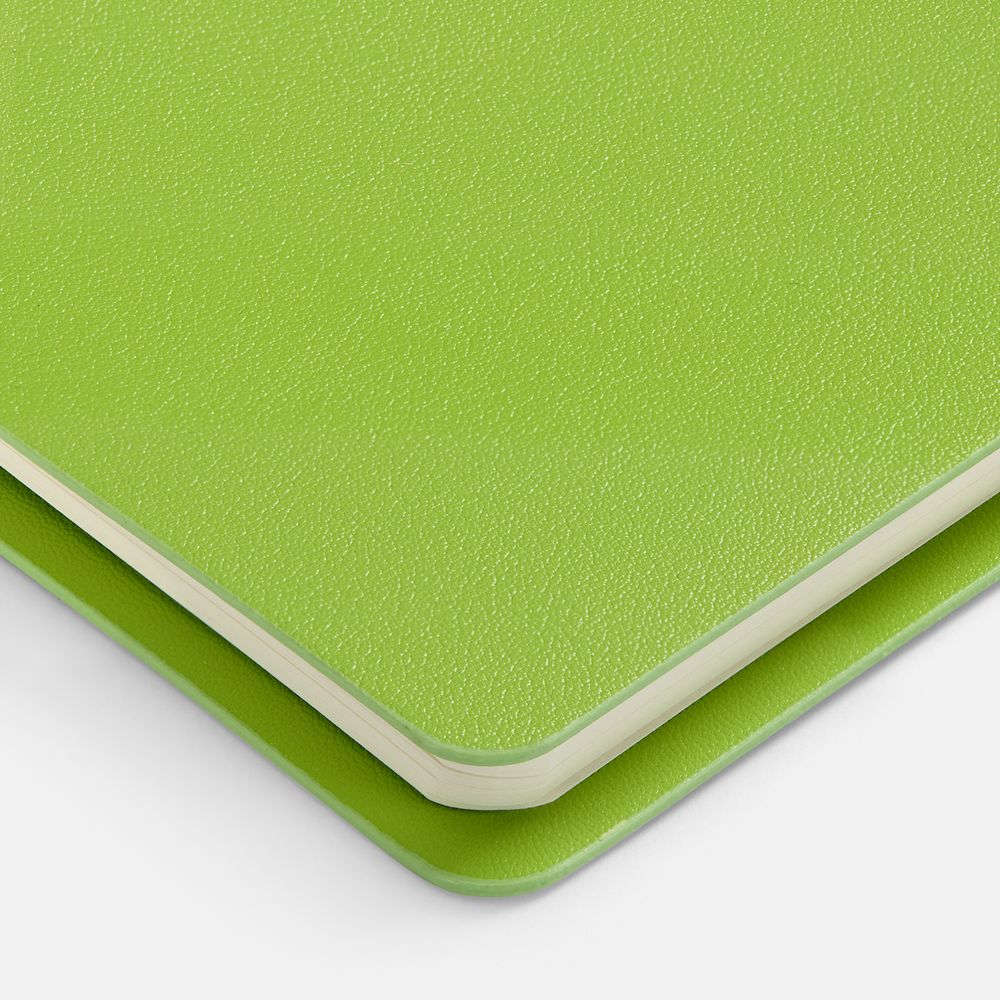 Ежедневник Ringo, недатированный, зеленый / Миниатюра WWW (1000)