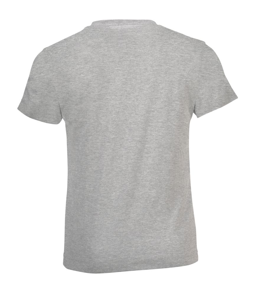 Футболка детская Regent Fit Kids, серый меланж / Миниатюра WWW (1000)