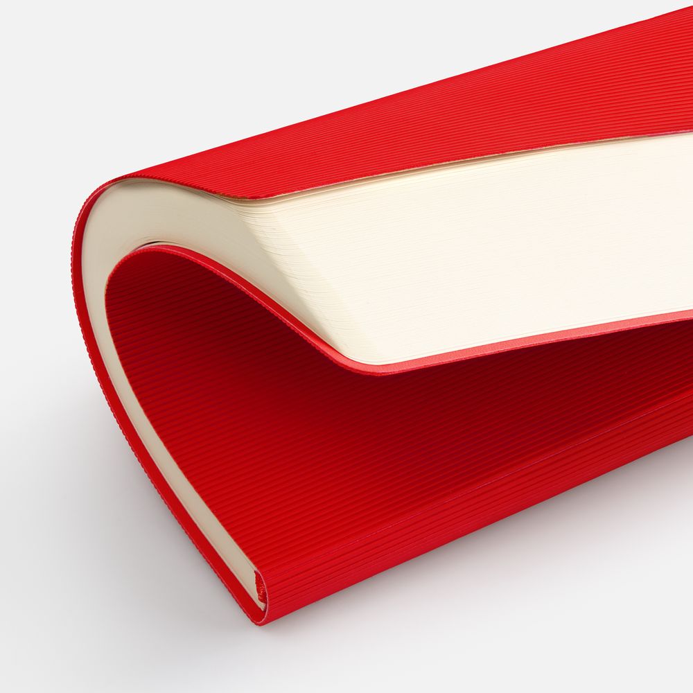 Ежедневник Vale New, недатированный, красный / Миниатюра WWW (1000)