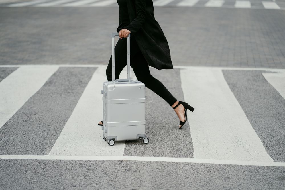 Чемодан Metal Luggage, серебристый / Миниатюра WWW (1000)